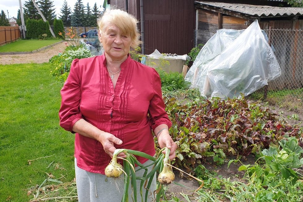 Marijampolietė Albina kartu su našlės išmoka pensijos gauna 270€ (nuotr. stop kadras)