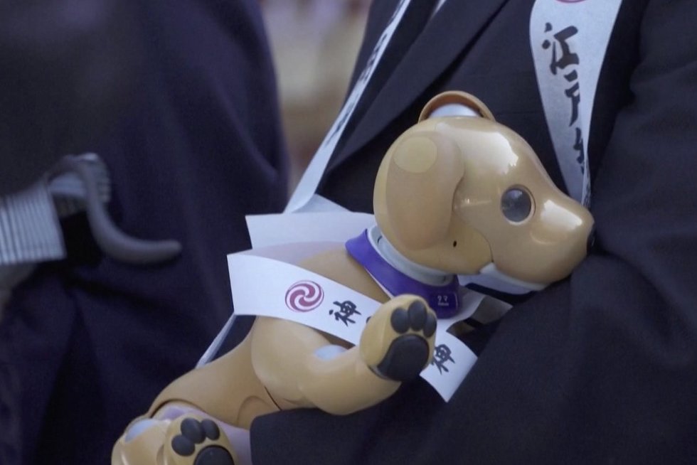 Japonijoje itin populiarūs šunys – robotai: „Daug dirbu ir neturėčiau laiko jį vedžioti“ (nuotr. stop kadras)