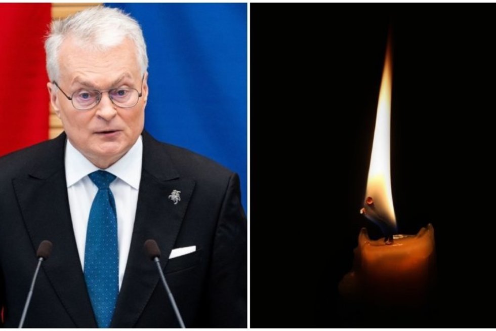 Gitanas Nausėda (nuotr. tv3 koliažo, nuotr. 123rf.com)