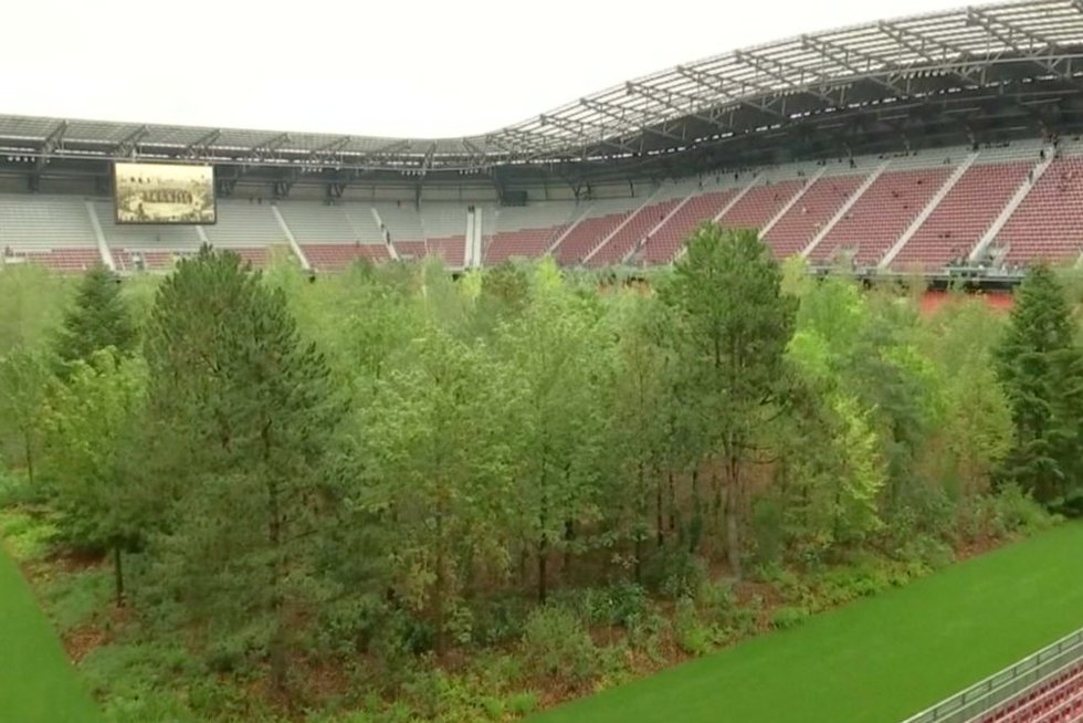 Miškas stadione (nuotr. stop kadras)