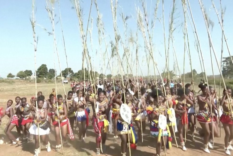 Pietų Afrikos Respublikoje – nendrių šokių festivalis: šimtai pusnuogių Zulu genties moterų švenčia savo nekaltybę (nuotr. stop kadras)