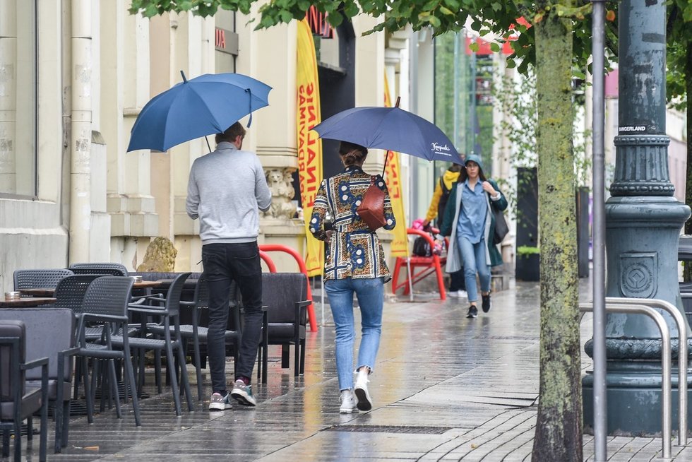 Orai, lietus (Fotodiena/ Viltė Domkutė)