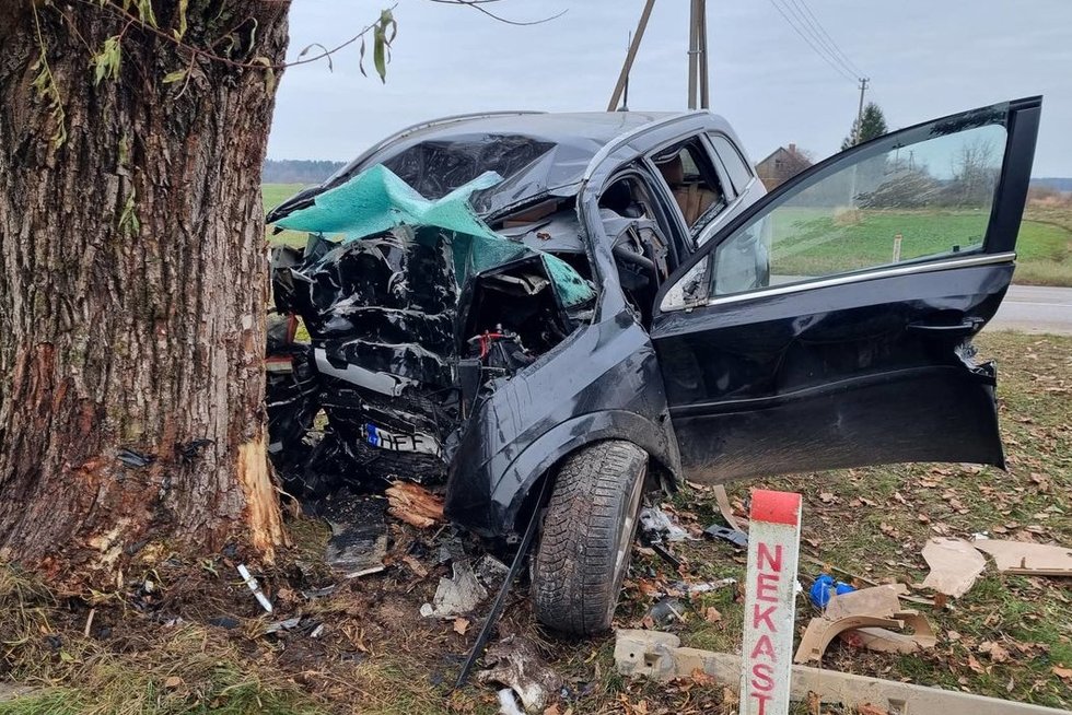 Mirtina avarija Kretingos rajone: automobiliui atsitrenkus į medį žuvo du žmonės  (nuotr. TV3)