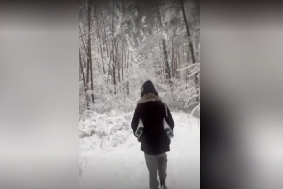 Skaitytoja nufilmavo, kas dėl sniego dedasi miškuose: „Ramiai nepasivaikščiosi“ (nuotr. stop kadras)