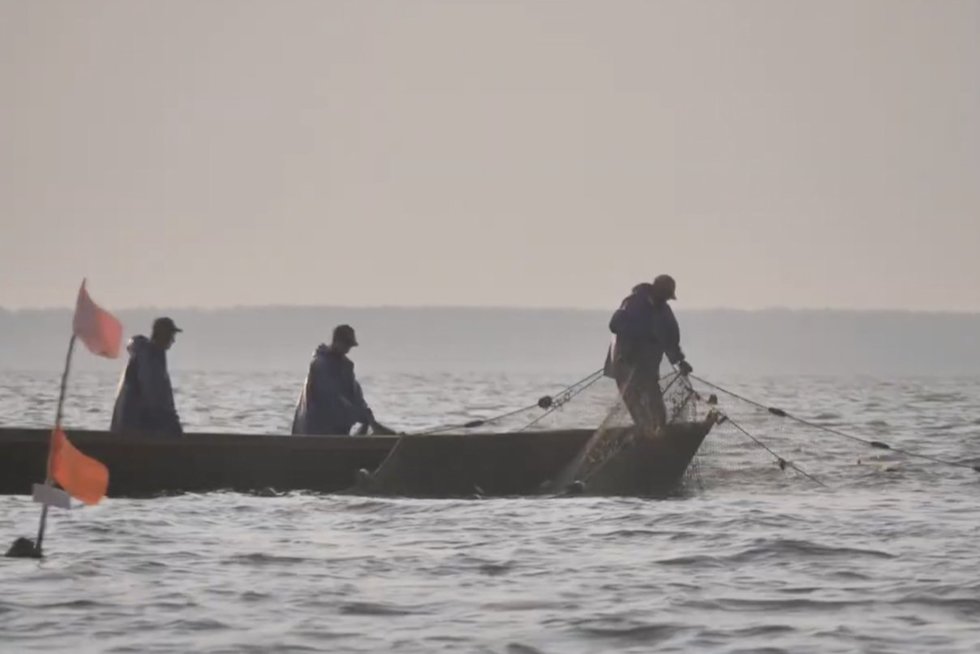 Gamtos saugotojus žvejai apmėtė žuvimi: tuo metu jie buvo sugavę daug neleistino dydžio starkiukų (nuotr. stop kadras)