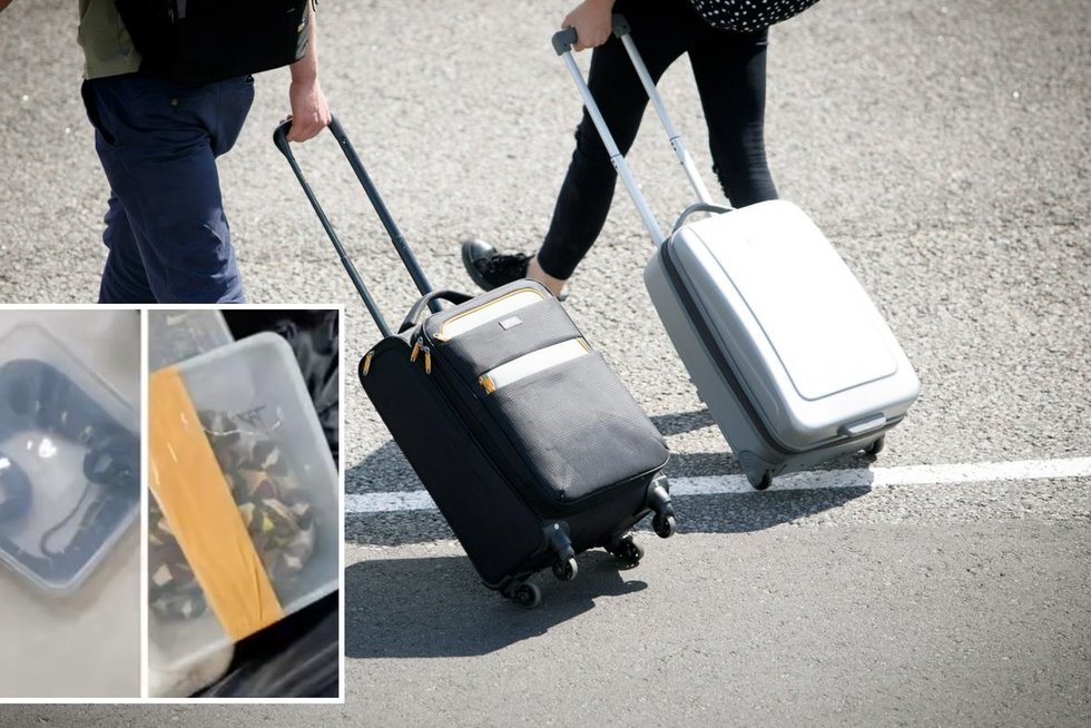 Pažvelgę į moters lagaminą pareigūnai nustėro – tokio vaizdelio dar nebuvo matę (nuotr. Eriko Ovčarenko)