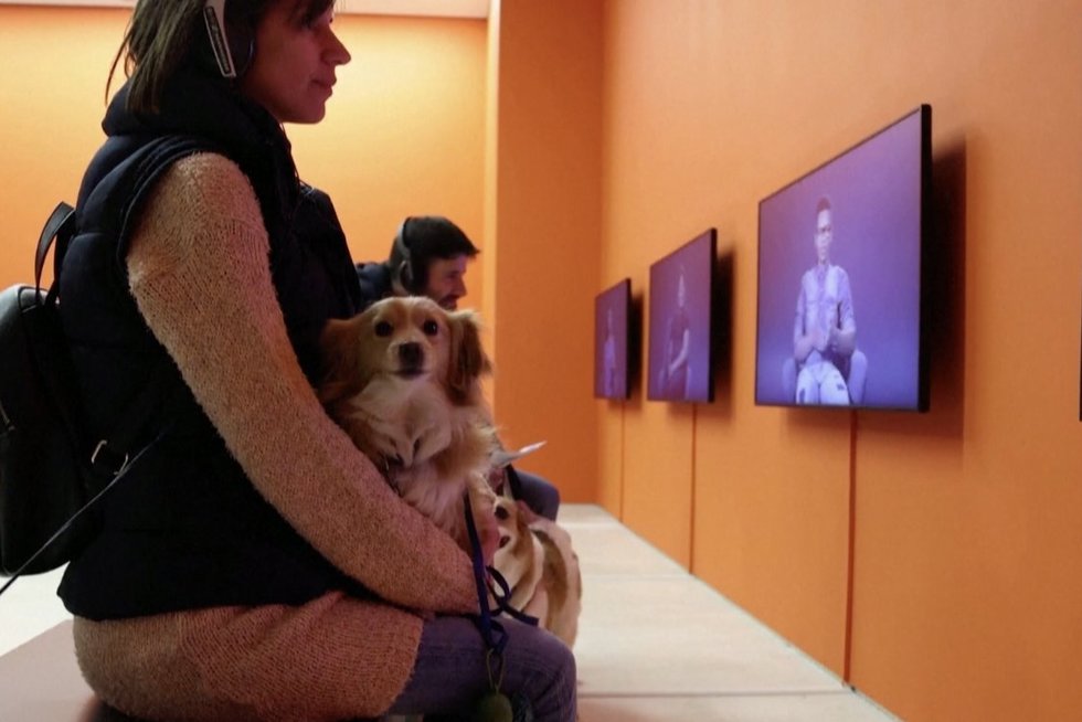 Atėnų šiuolaikinio meno muziejus priėmė neįprastą sprendimą – leido atsivesti šunis: „Smagu, kad galime tuo dalintis“ (nuotr. stop kadras)